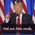 catchphrase-you-are-fake-news