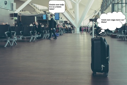 what-to-do-if-you-lost-your-luggage-abroad