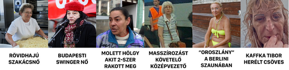 wzlgqb