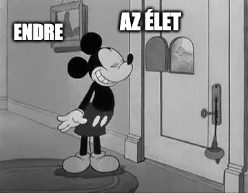 Sodi-Mickey-mouse-door